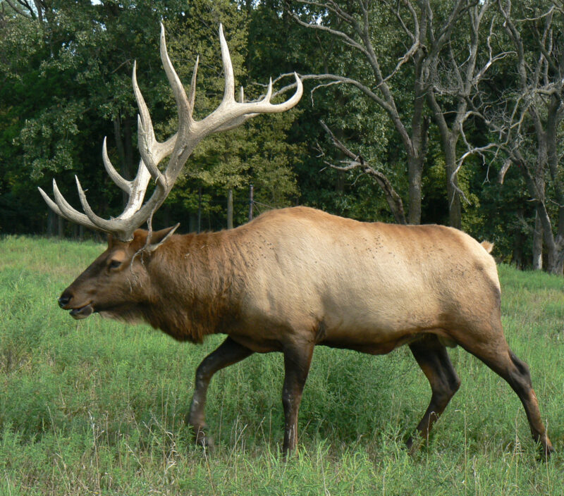 Contact Blue Ridge Estates Homeowners Association